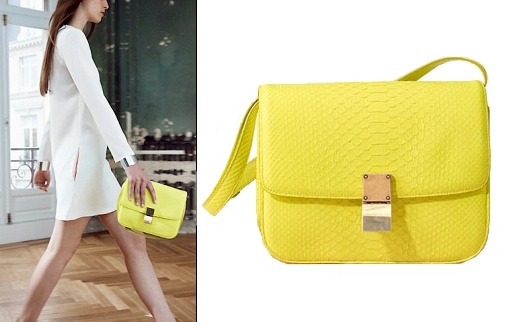 Sacs Céline 2010