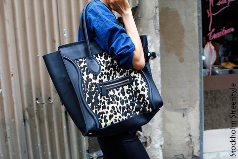 Sac Céline Luggage