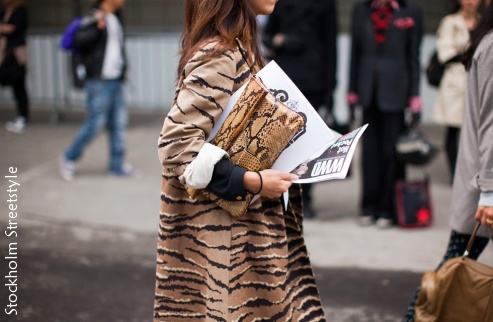 Animal Prints