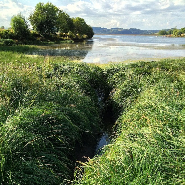 Le lac de Naussac