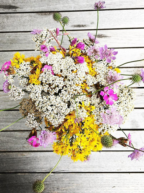 Bouquet de fleurs des champs