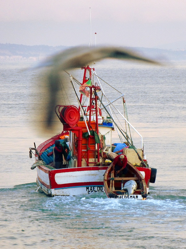 Bateau de pche