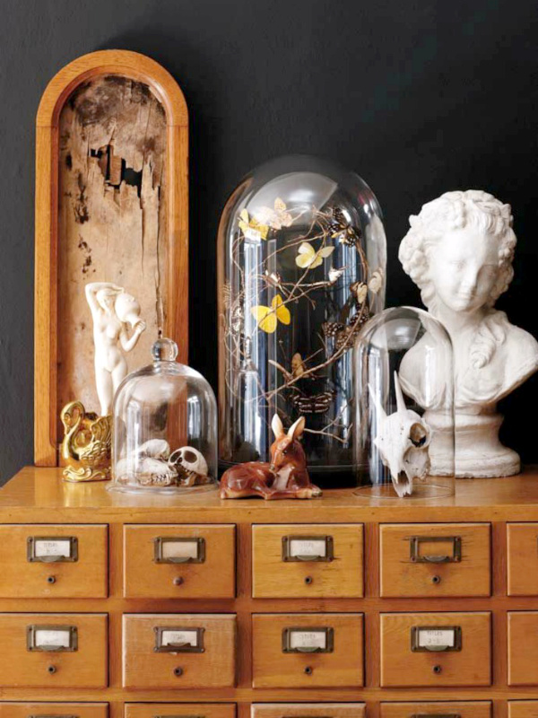 Cabinet de curiosits