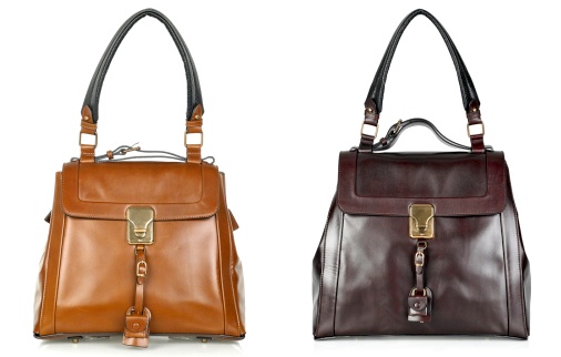 Le sac Darla de Chloé