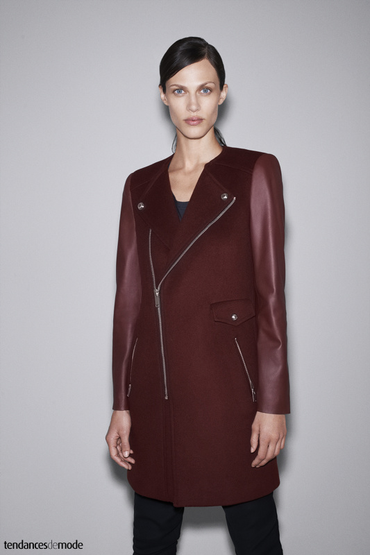 Collection Zara - Octobre 2012 - Photo 12