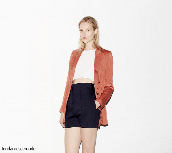 Collection Zara - Mai 2013 - Photo 6