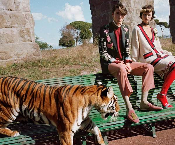 Campagne Gucci - Printemps/t 2017 - Photo 5