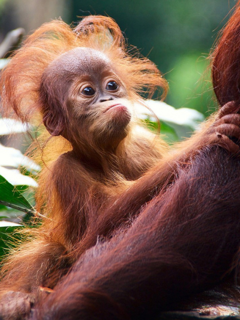 Bad hair day ? Et alors ?!