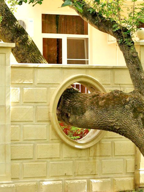 S'adapter  la nature... tout un art !