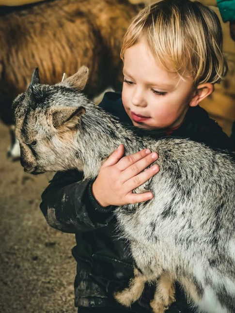 Innocence + plaisir simple + tendresse universelle = le bon mix