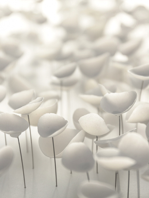 Mlant fragilit, posie et dlicatesse, les coquelicots en porcelaine de Valria Nascimento invitent  la rverie