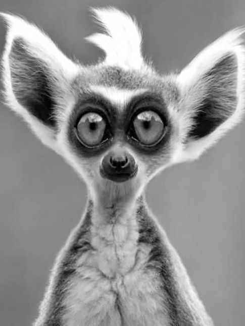 Regard post-overdose de Netflix...