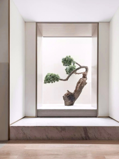 Wanted : un arbre d'intrieur !