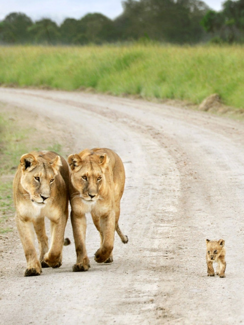 Trouver la bonne distance... le travail d'une vie !