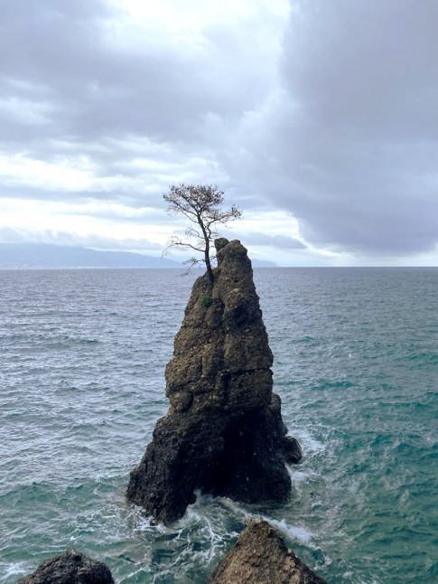 La solitude, ce luxe trop souvent sous estim...