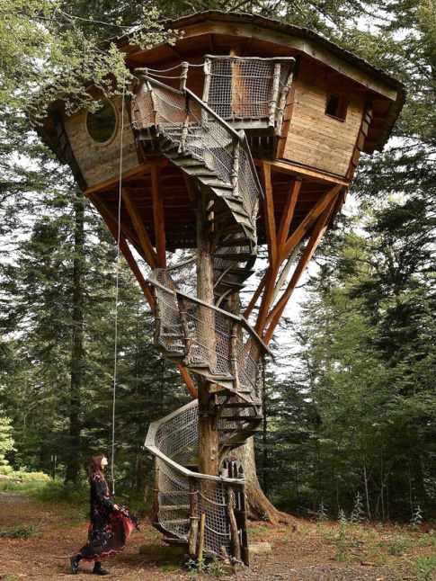 Arbre + cabane = le bon mix