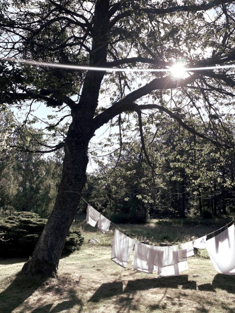 Petit plaisir de l't : laisser le linge scher au soleil