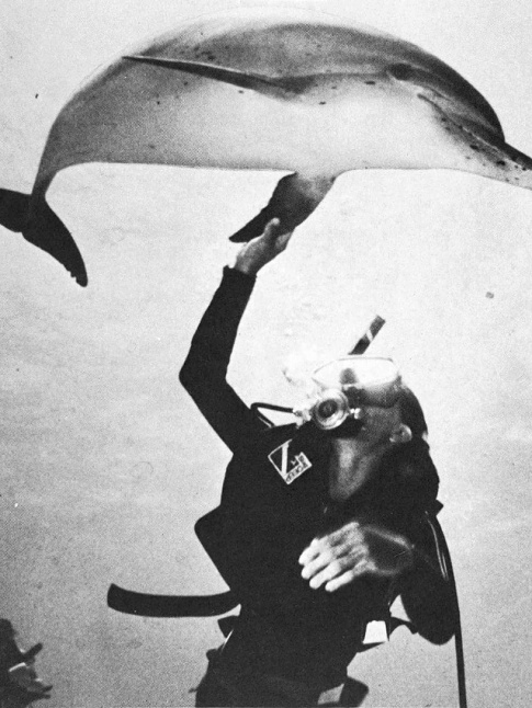 Faire connaissance... tout un art !
