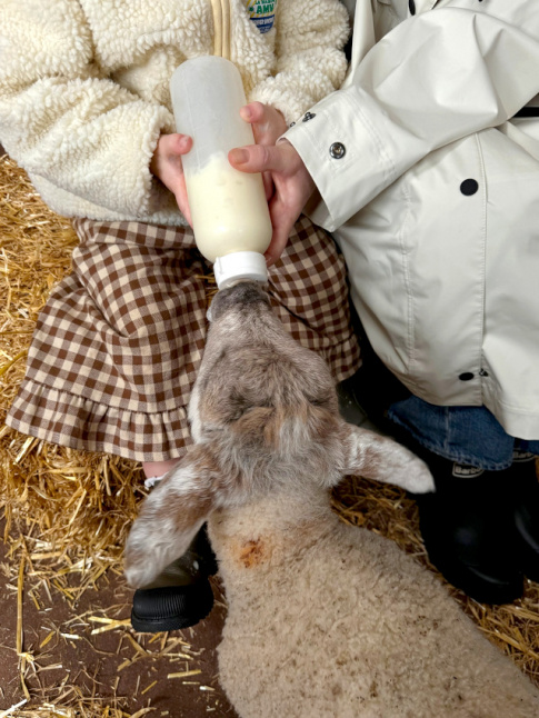 Envie de tendresse...