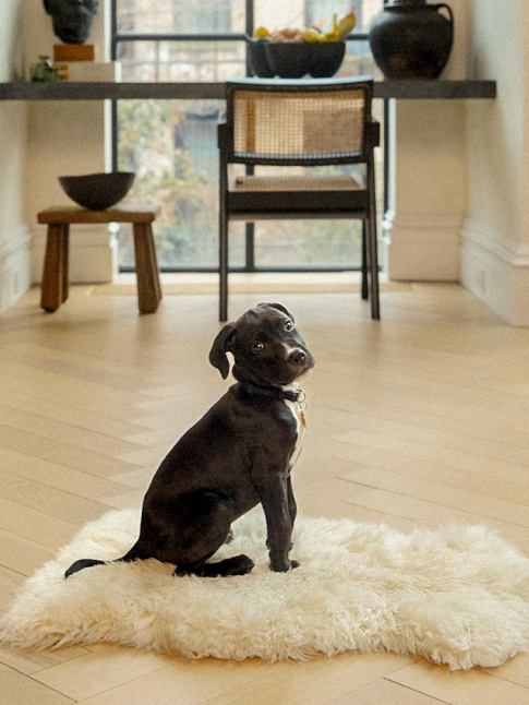 Envie de douceur inconditionnelle !