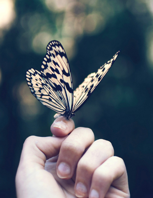 La grâce à l'état pur...