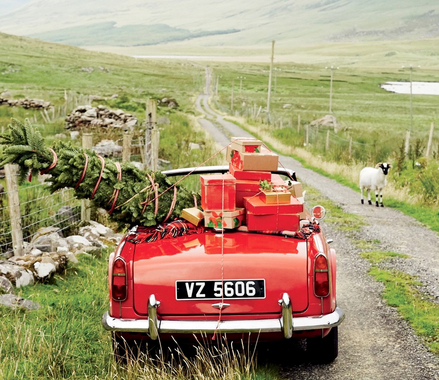 Illustration parfaite du bonheur #58