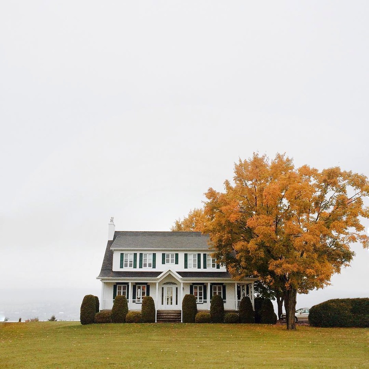 The perfect place #22