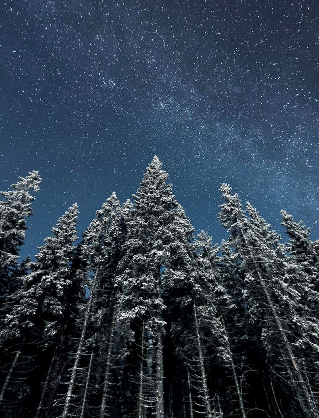 The perfect place #26