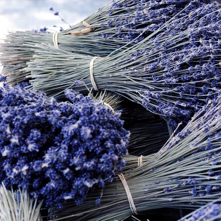 Envie de senteurs estivales !