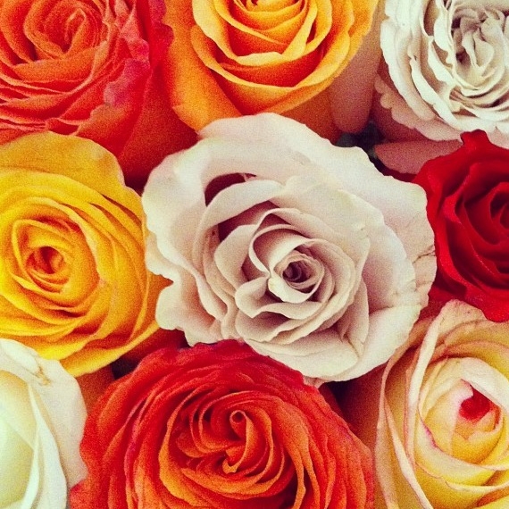 Bouquet de roses