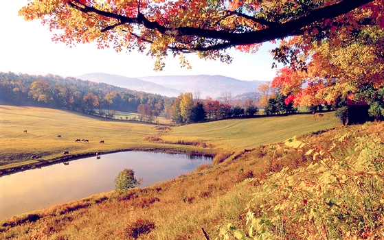 Vermont