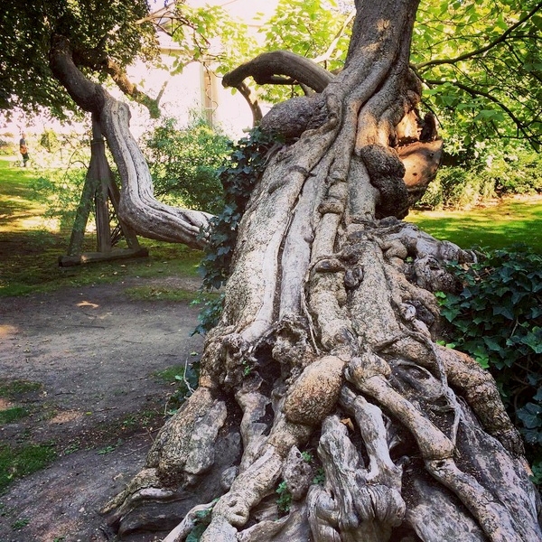 Le jardin du Luxembourg