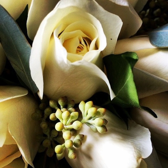 Bouquet de roses blanches