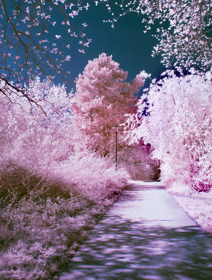 The perfect place #40