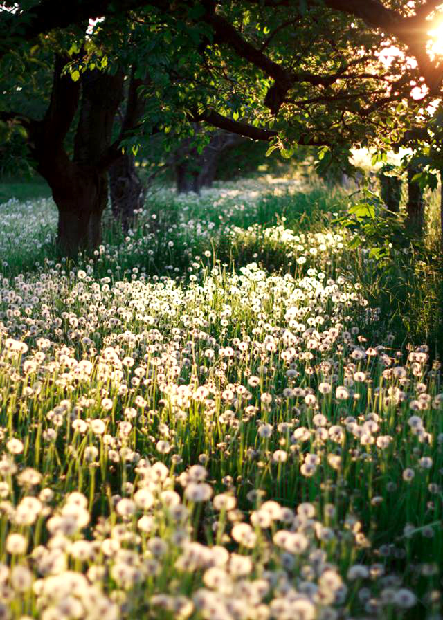 The perfect place #41