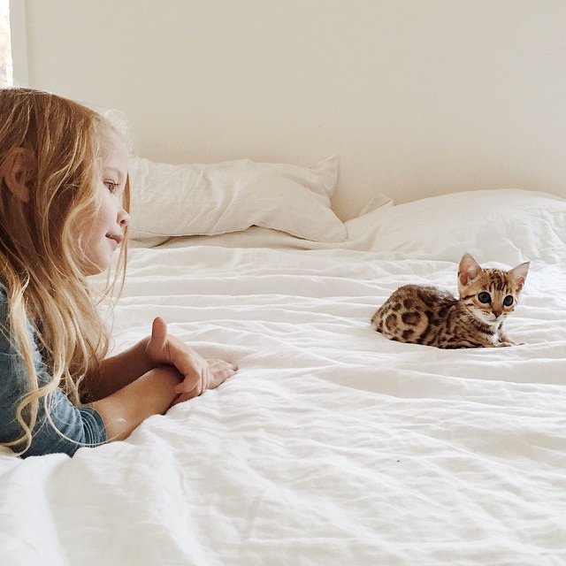 Envie de douceur et d'innocence...