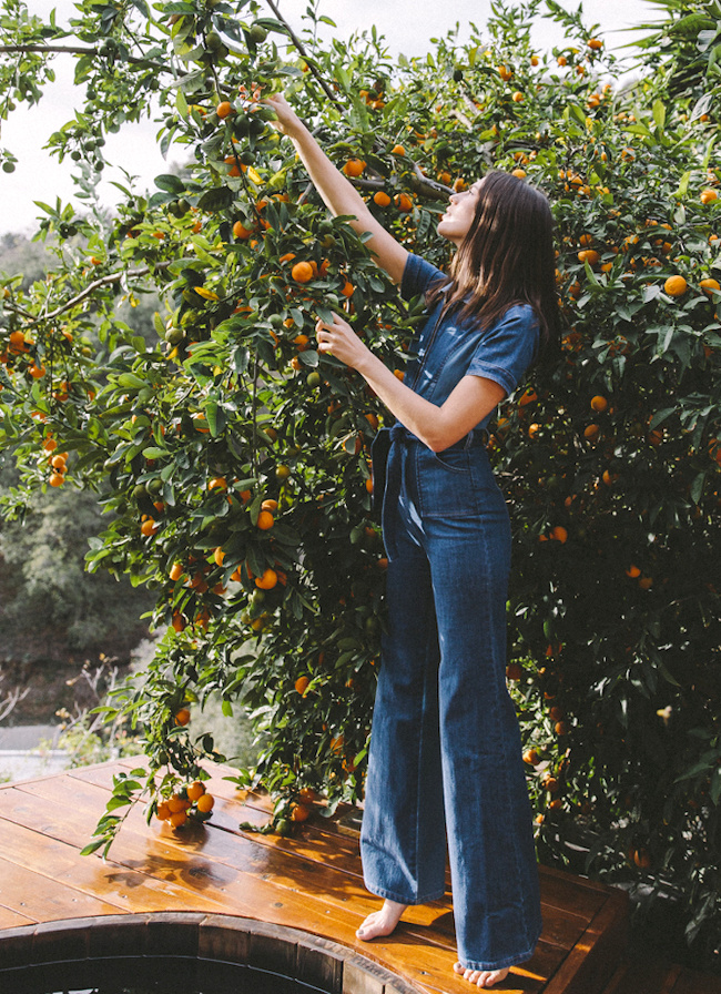 Une certaine id�e du 