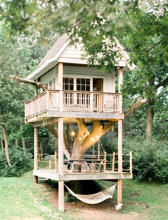 Arbre biscornu + cabane en bois = le bon mix