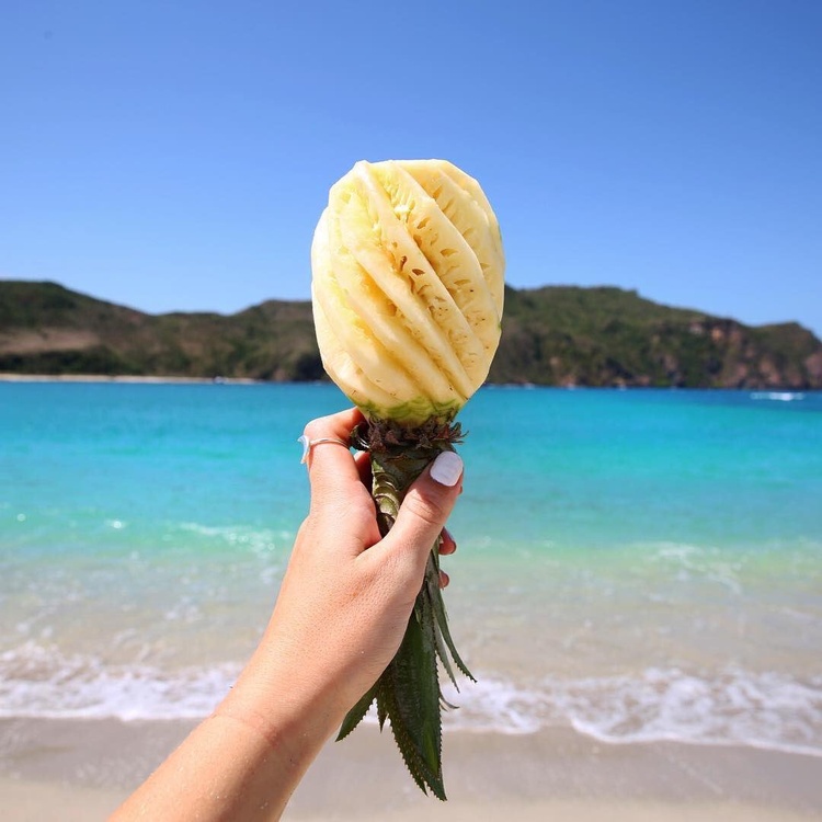 Le meilleur snack du monde !