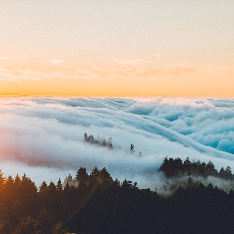 The perfect place #69