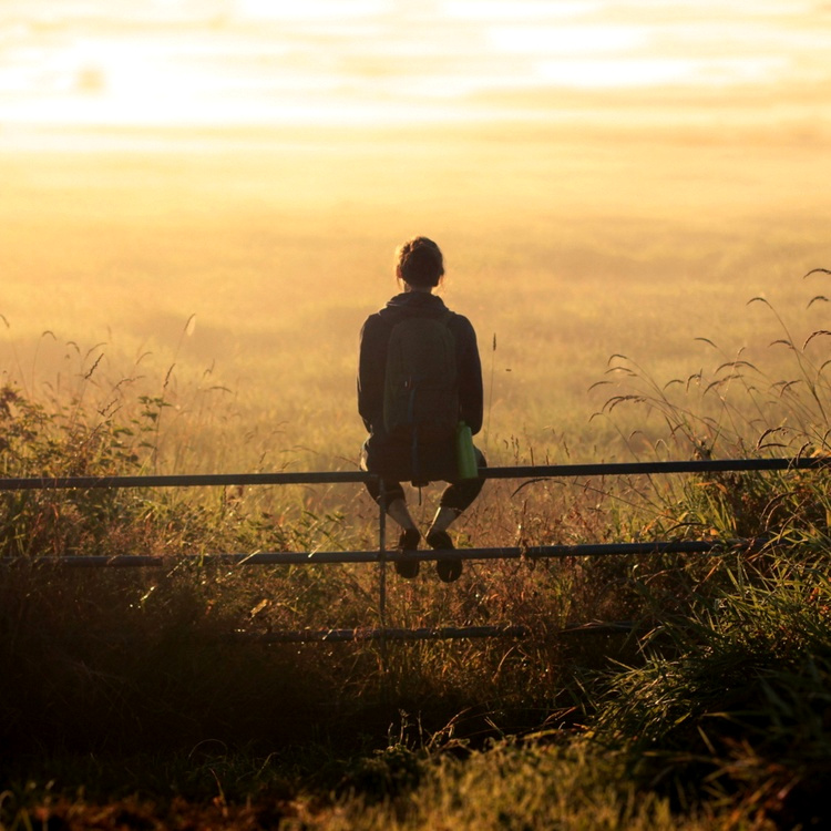 Illustration parfaite du bonheur #113