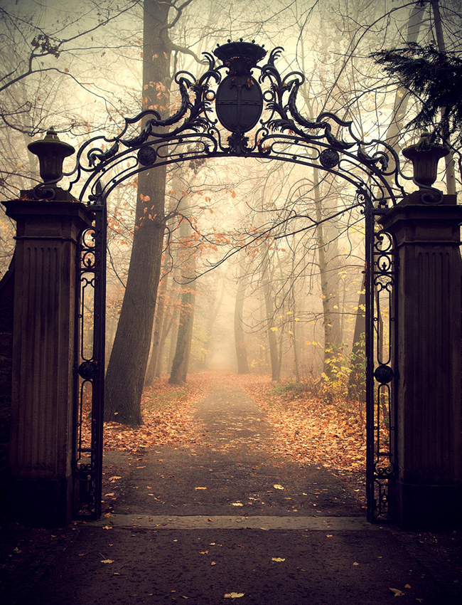 The perfect place #92