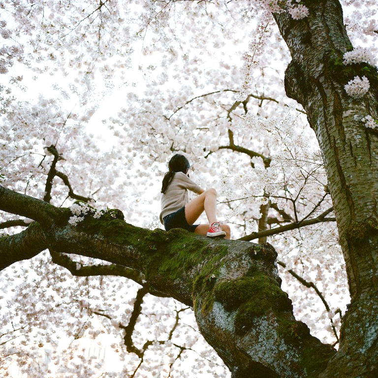 Illustration parfaite du bonheur #128