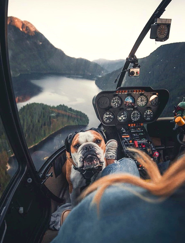 The perfect place #105