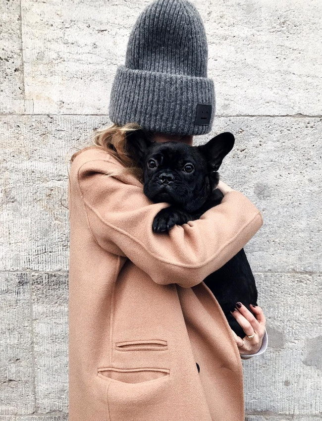 Bonnet Acne + mini chien adorable = le bon mix