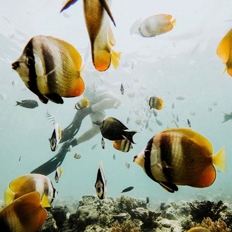 The perfect place #116