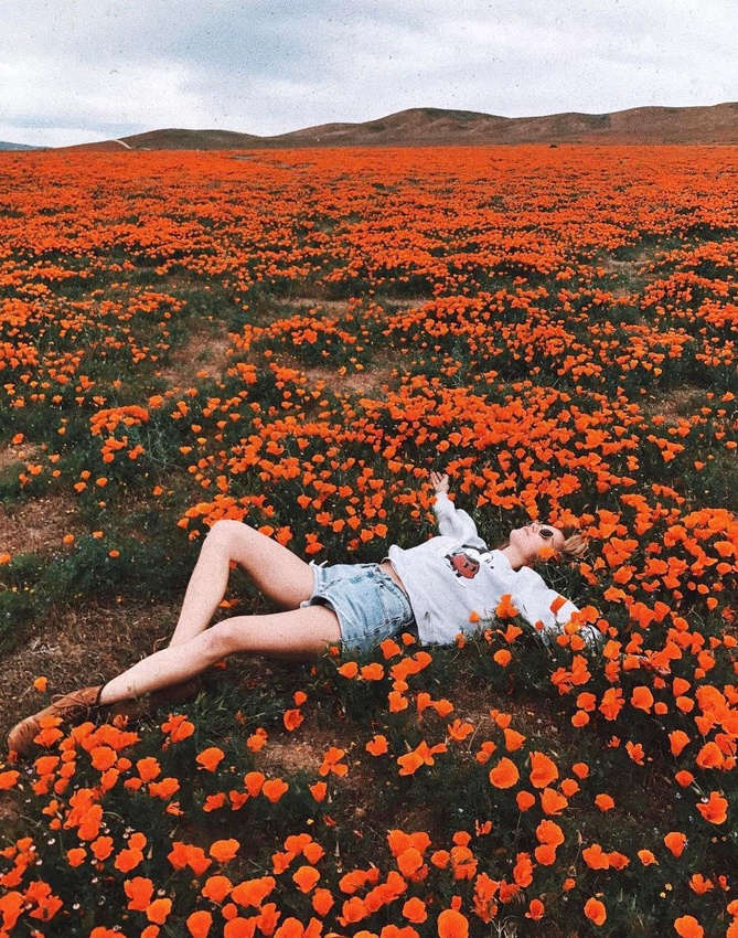 Une certaine id�e du 