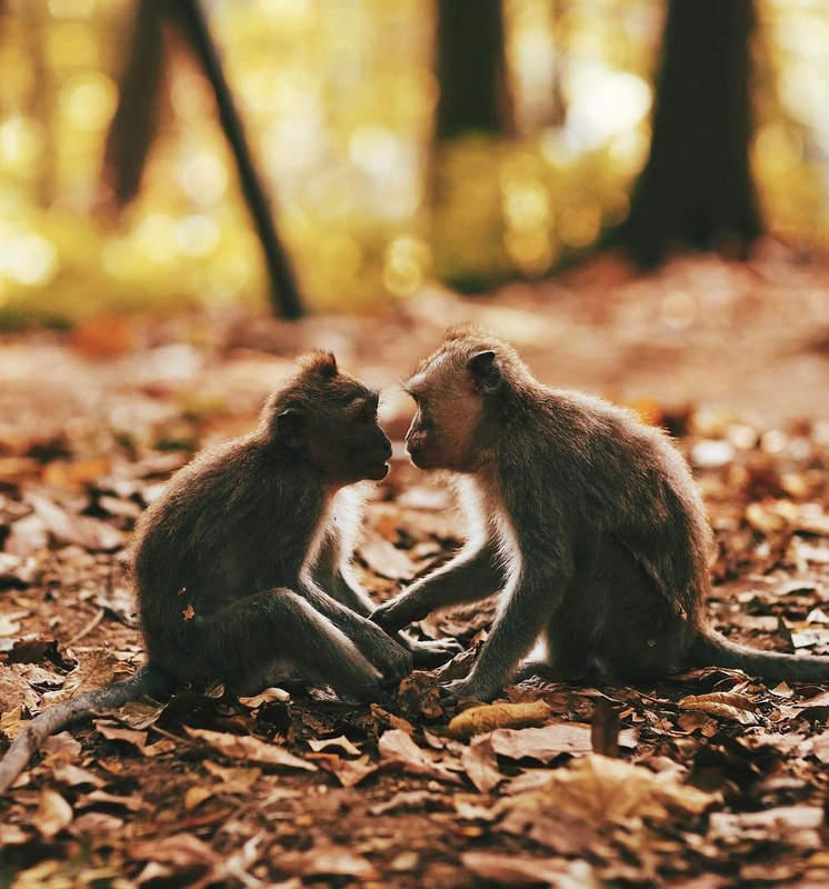 Rien de tel qu'un peu d'amour pour bien commencer la journ�e...