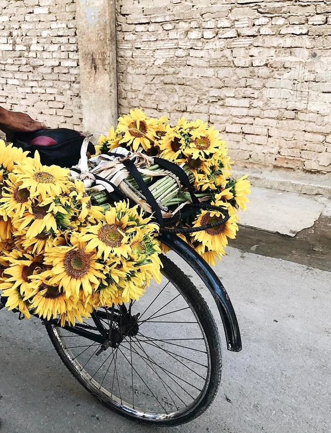 Se ruiner en fleurs, ou comment dilapider po�tiquement son argent...