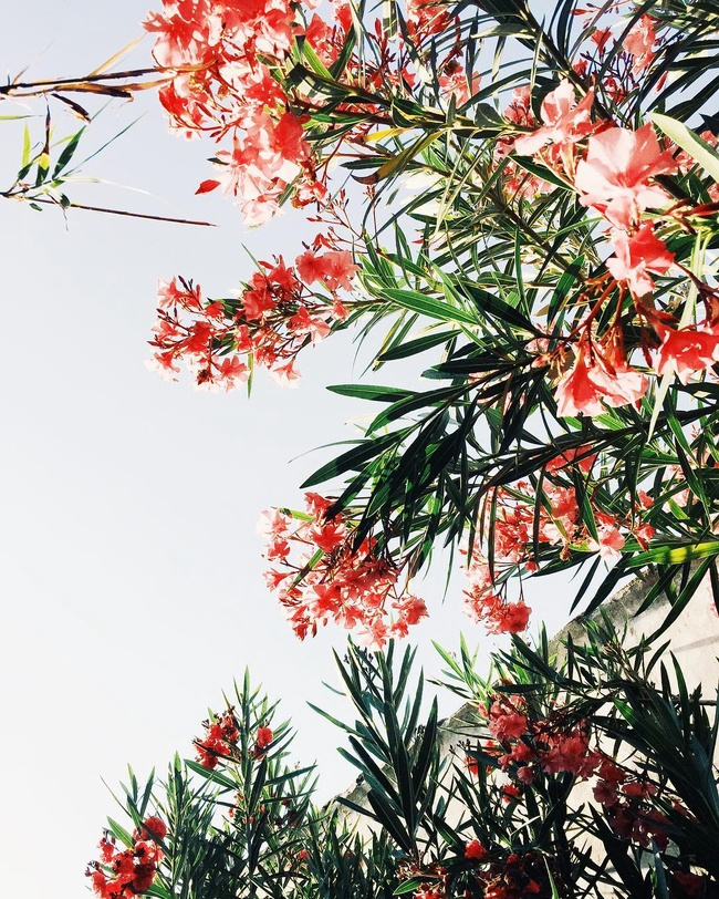 Certains clich�s feraient de sublimes imprim�s...